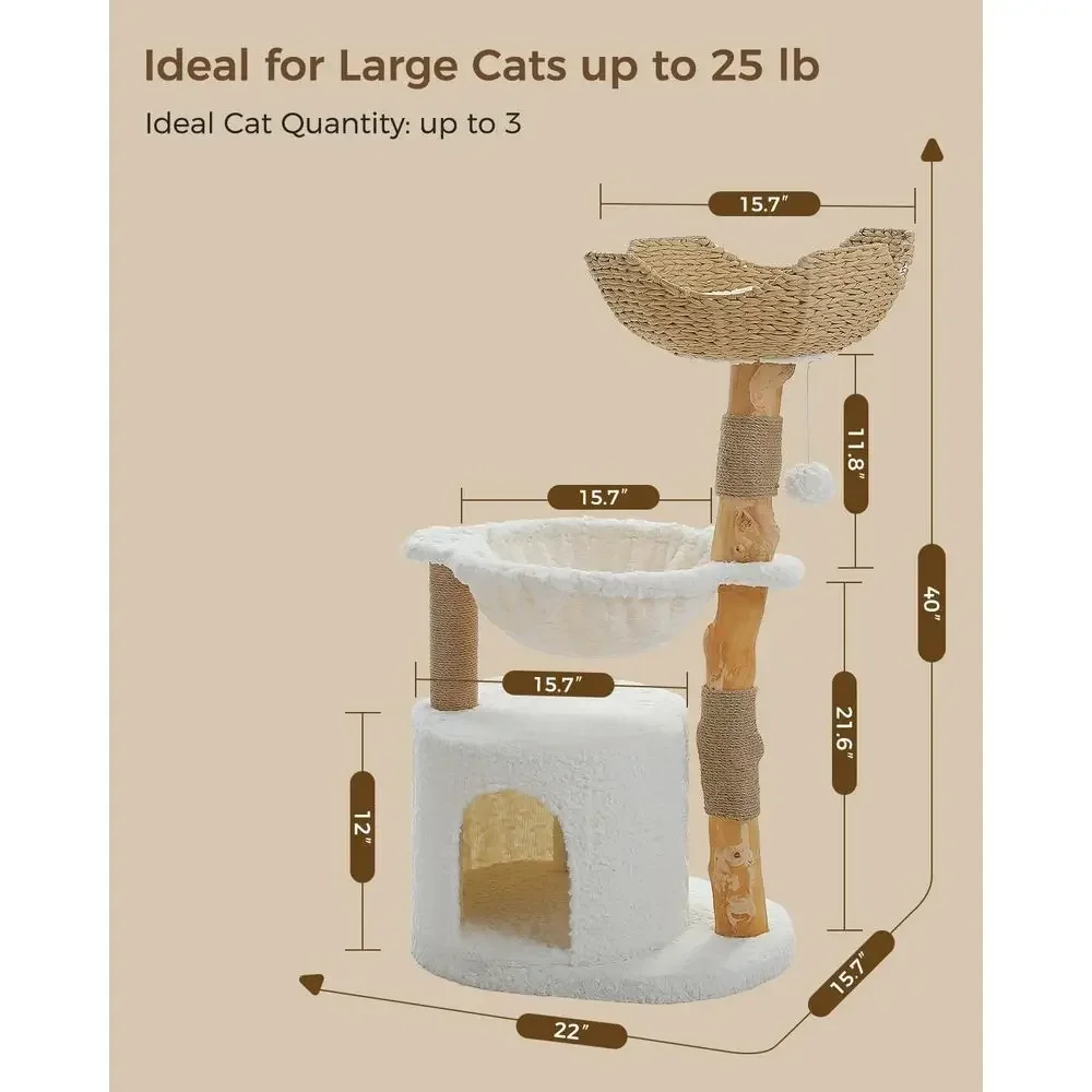 Árbol para Gatos Grande y Acog - Cat Scratching Post reseña y precio