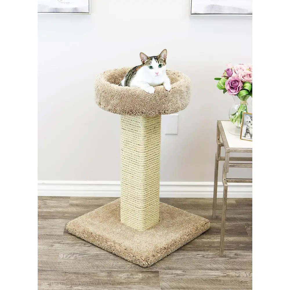 Rascador para Gatos Grande de  - Cat Scratching Post reseña y precio
